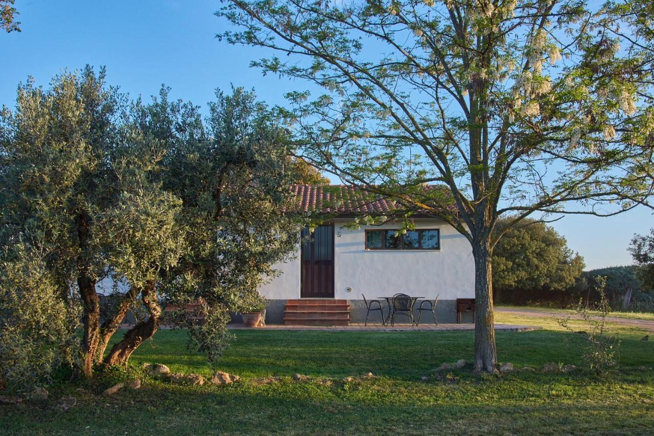 Agriturismo Tesorino Massa Marittima Exterior foto