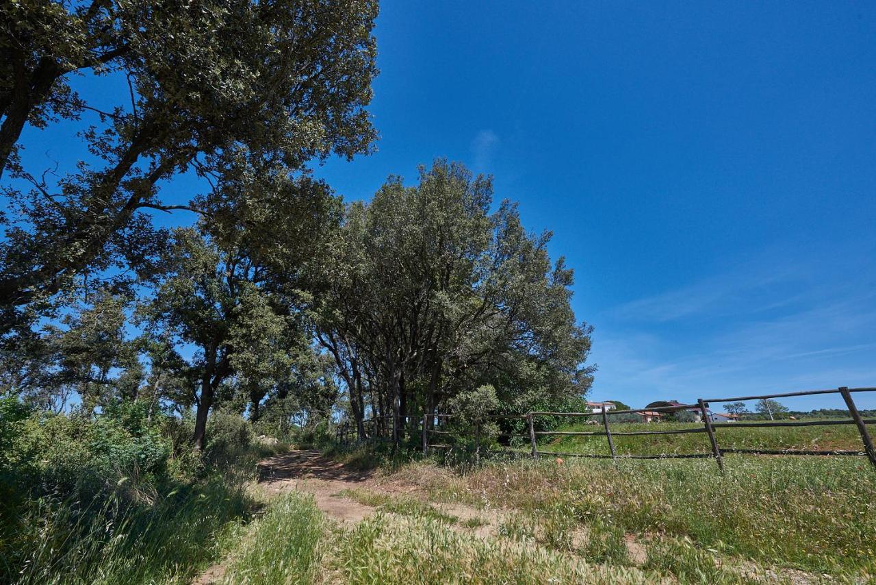 Agriturismo Tesorino Massa Marittima Exterior foto